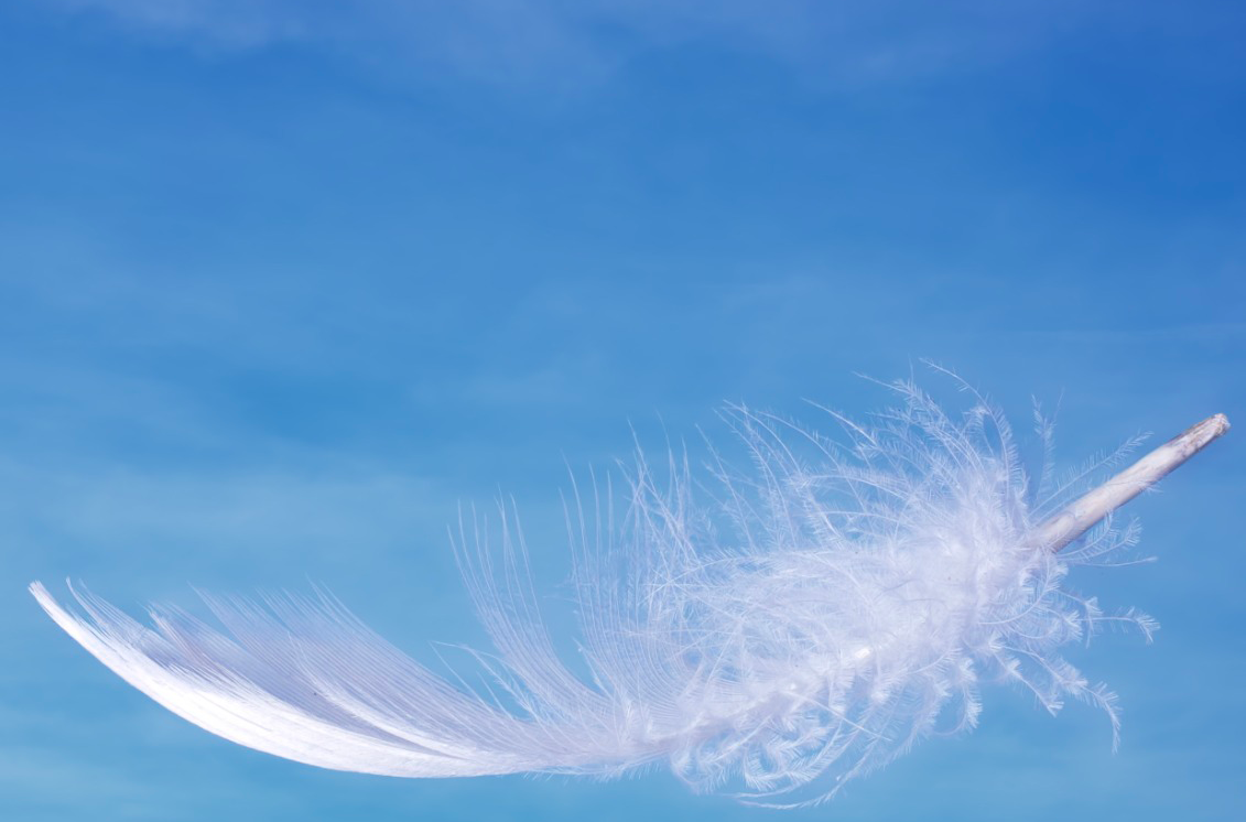 Plume